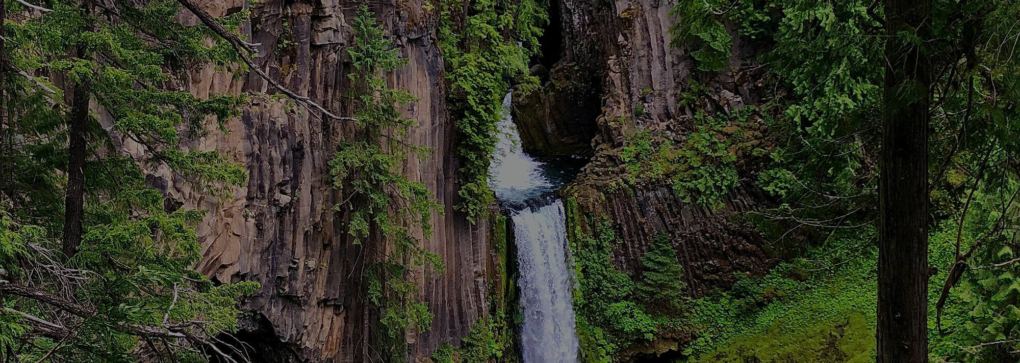 Waterfall coming through a bunch of trees